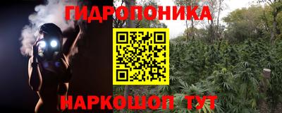 прущие крисы Среднеуральск