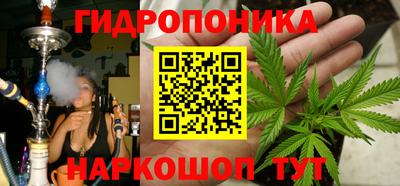 прущие крисы Среднеуральск